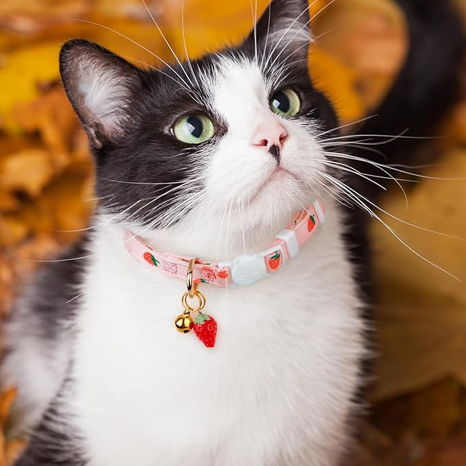 2 Pack Cotton Breakaway Cat Collar Pink Strawberries and White Heart Shaped - Image 6