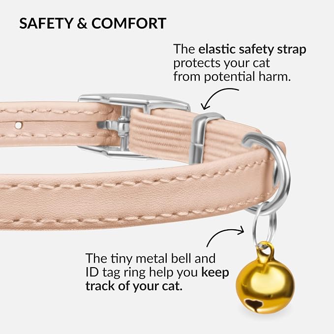 CollarDirect Leather Cat Collar - Image 3