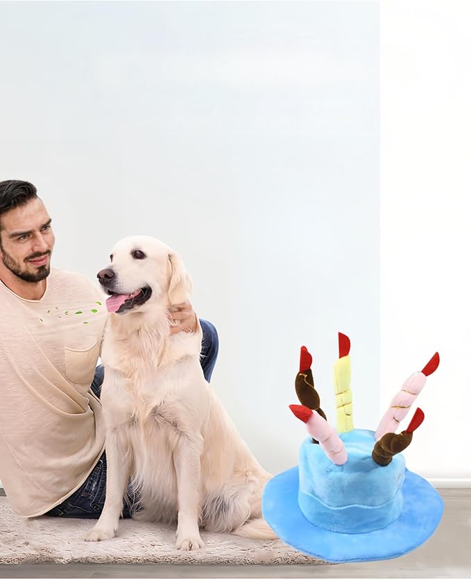 Cute Pet Party Hat for Dogs&Cats - Image 5