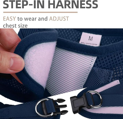PUPTECK Adjustable Dog Harness Collar and Leash Set Step in No Pull Pet Harness - Image 3