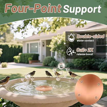 99.99% Pure Copper Bird Bath Purification Disk, 0.6mm thick, Reinforced Copper - Image 5