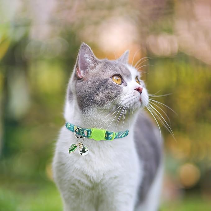 SCENEREAL Breakaway Cat Collars - Image 6
