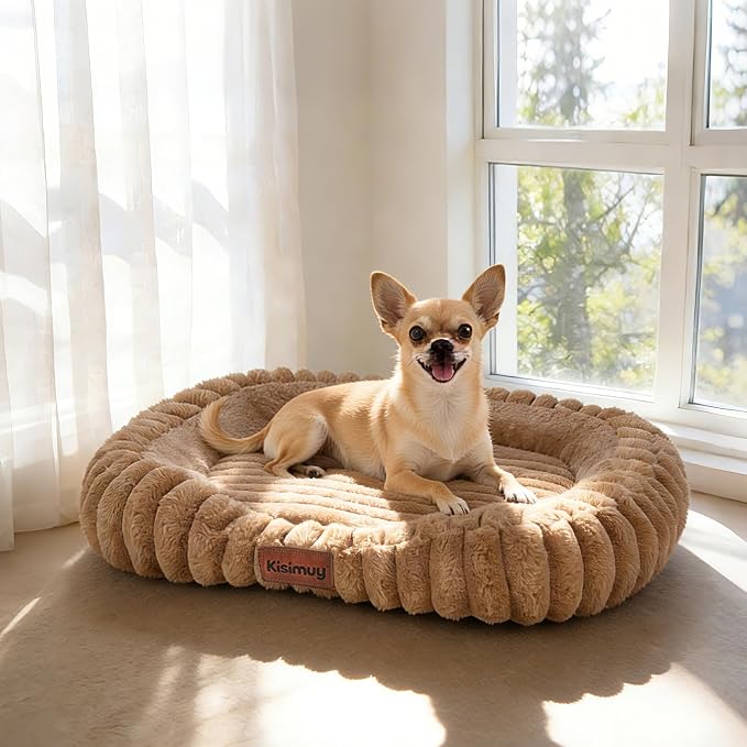 Cute Washable Dog Bed for Small Dogs -Soft Plush Calming Puppy & Cat Bed by Unknown
