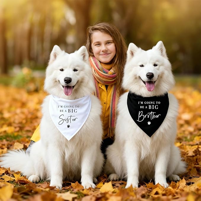 2 Pack Dog Bandanas for Pregnancy Announcement, I'm Going to Be A Big Brother - Image 5