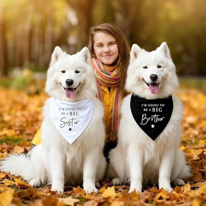 2 Pack Dog Bandanas for Pregnancy Announcement, I'm Going to Be A Big Brother - Image 5