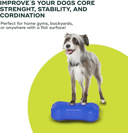 FitPAWS® K9FITbone® - Image 6