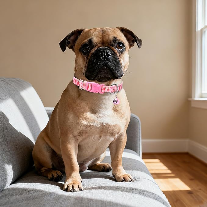 XS Dog Collar with Bell - Image 5