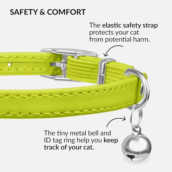 CollarDirect Leather Cat Collar - Image 3