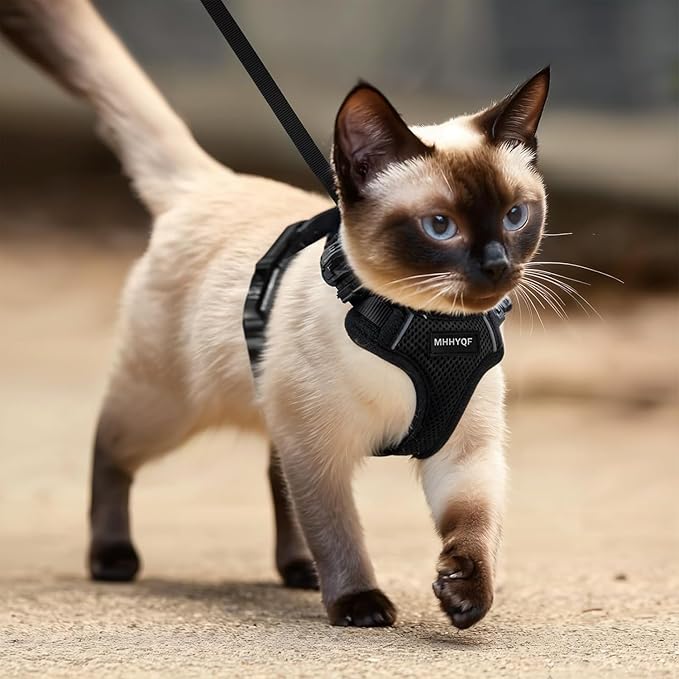 Cat Harness and Leash for Walking, Cat Car Harness, Escape Proof Soft - Image 5