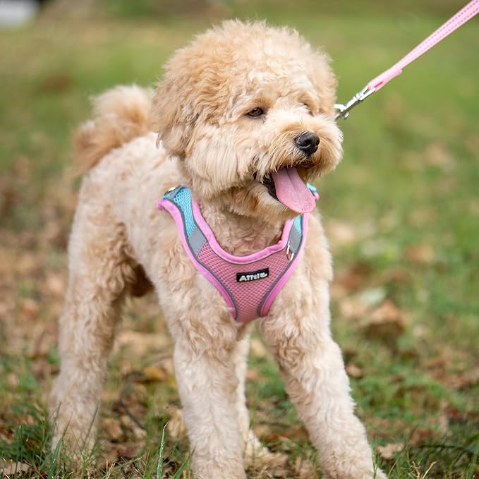 AIITLE Escape Proof Dog Harness - Image 2