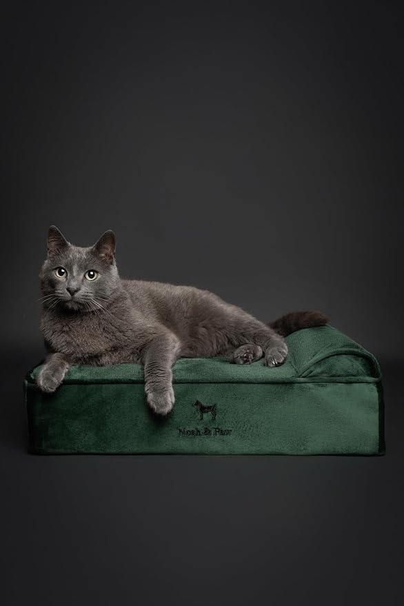 NOAH & PAW Small Dog Bed, Cat Bed - Image 3