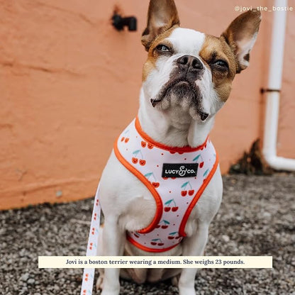Lucy & Co. Cheery Cherries, Cute Reversible Dog Harness Walking Halter - Image 2