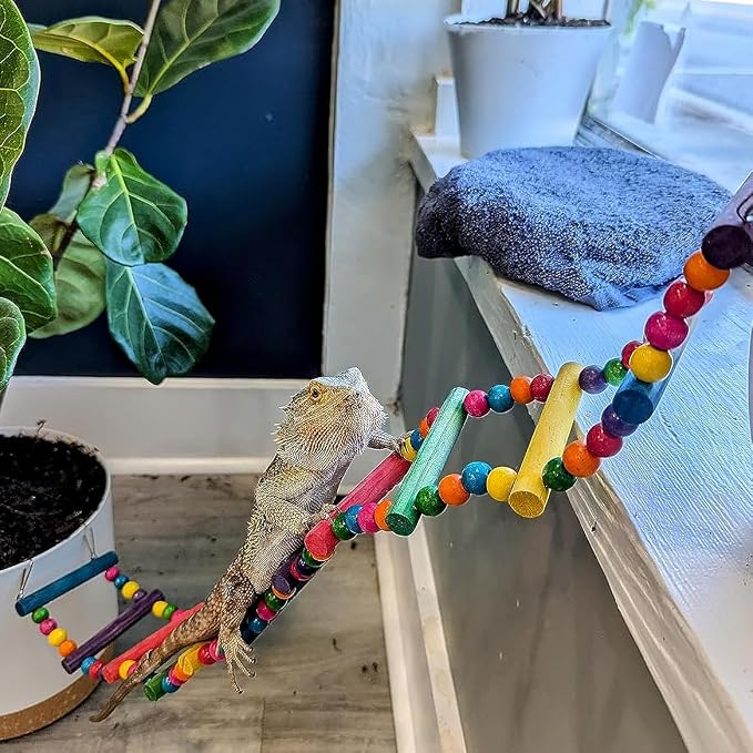 DS. DISTINCTIVE STYLE Bird Ladder Toys Coloured Flexible Parrot Swing Bridge - Image 5