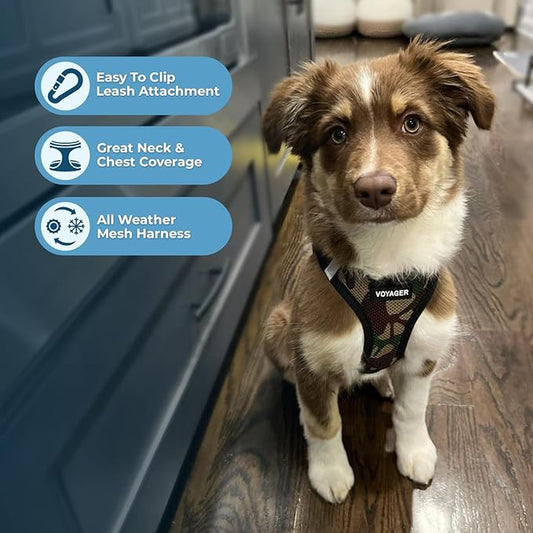 Best Pet Supplies - Image 2