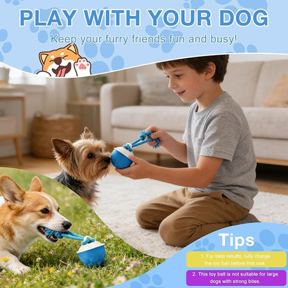 Interactive Dog Ball Toy, 2026 Upgraded Automatic Rolling Ball - Image 9