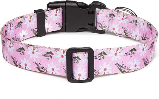 Mercano Adjustable Dog Collar - Image 2