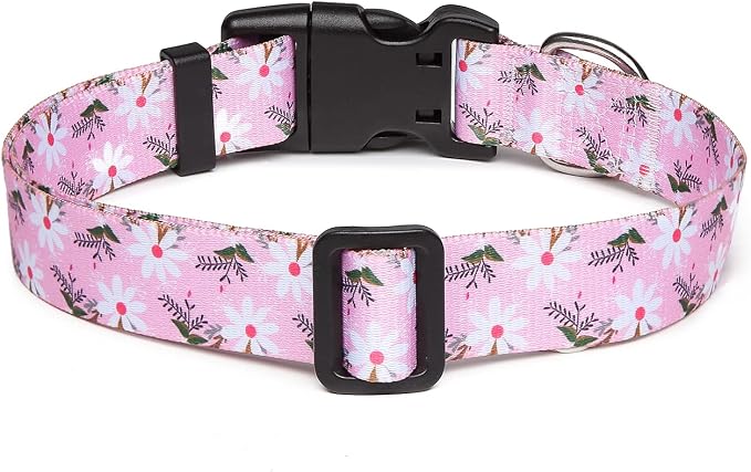 Mercano Adjustable Dog Collar - Image 2