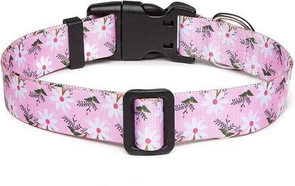 Mercano Adjustable Dog Collar - Image 2