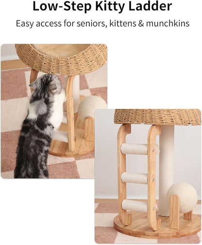 Wood Cat Tree for Large Cats, Modern Cat Tree Tower - Image 5