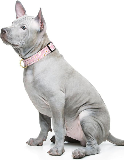 Reflective Dog Collar for Medium Dogs, Cute Daisy Theme Adjustable Heavy-Duty - Image 2