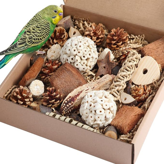 Kyouki Bird Toys Parrot Natural Bird Foraging Box Foot Toys by Unknown