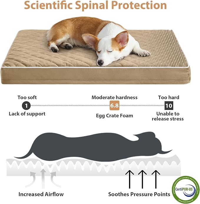WNPETHOME Orthopedic Dog Bed for Crate, Waterproof Extra Large Dogs Bed - Image 3