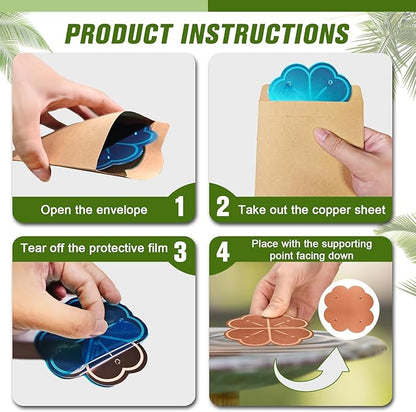 Bird Bath Copper Disk, Four-Point Support Design 99.99% Pure Copper Cleaning - Image 7