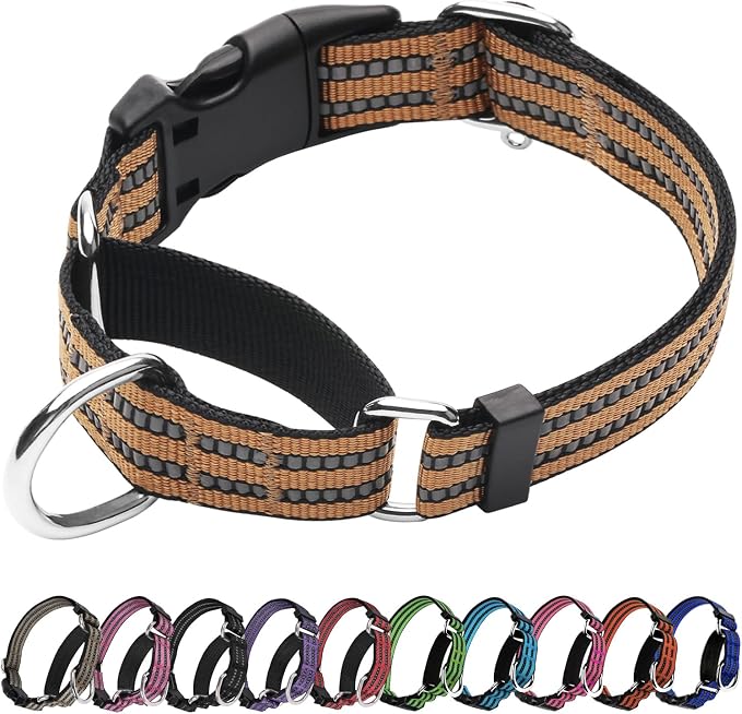 Martingale Dog Collar, Adjustable Nylon Reflective Collar by JOYEEIIOO