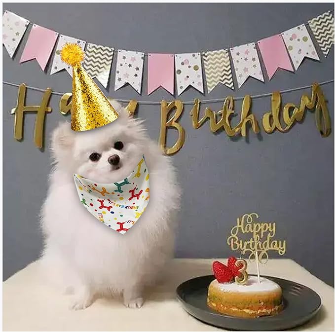 Dog Birthday Hat and Bandana for Boy/Girl Pet Party Supplies - Image 3