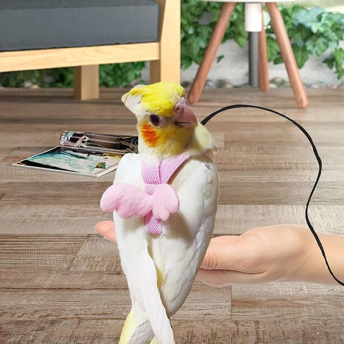 Dnoifne Parrot Harness and Leash, Adjustable Training Design Anti-Bite - Image 2
