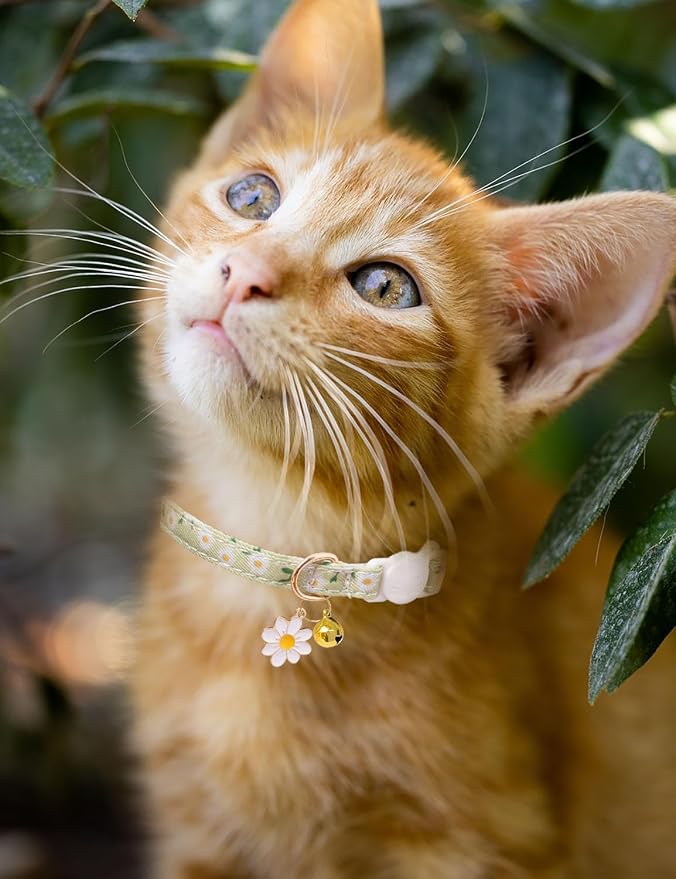 Cat Collar Breakaway with Bells, 3 Pack Safety Adjustable Pet Collars - Image 4