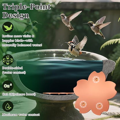 99.99% Pure Copper Bird Bath Disk, Triple-Point Support Design Lower Cleaning - Image 4