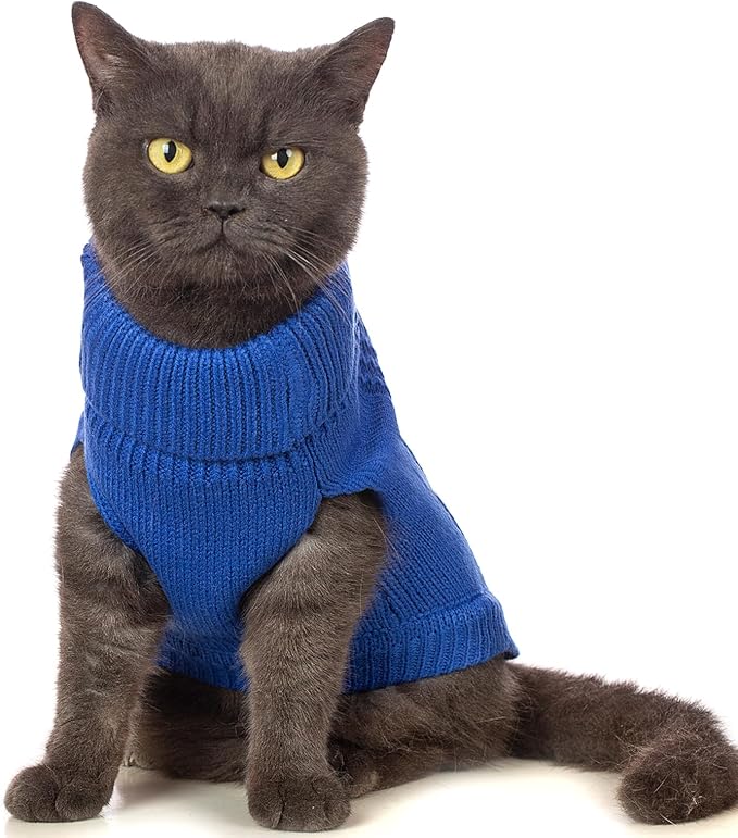 Stretchy Cat Sweater - Image 2