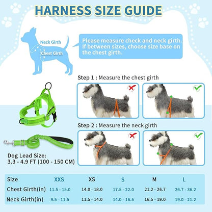 SlowTon No Pull Small Dog Harness and Leash Set, Puppy Soft Vest Harness Neck & - Image 5