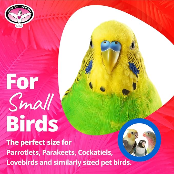 Super Bird Creations SB188 Balsa Candy Cane Bird Toy, Small Bird Size - Image 2