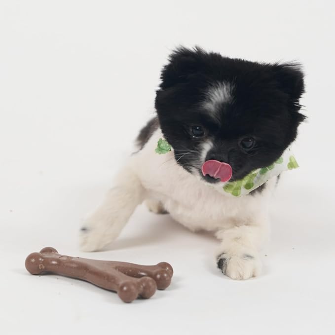 SPOT Bam-Bones Wishbone - Image 13