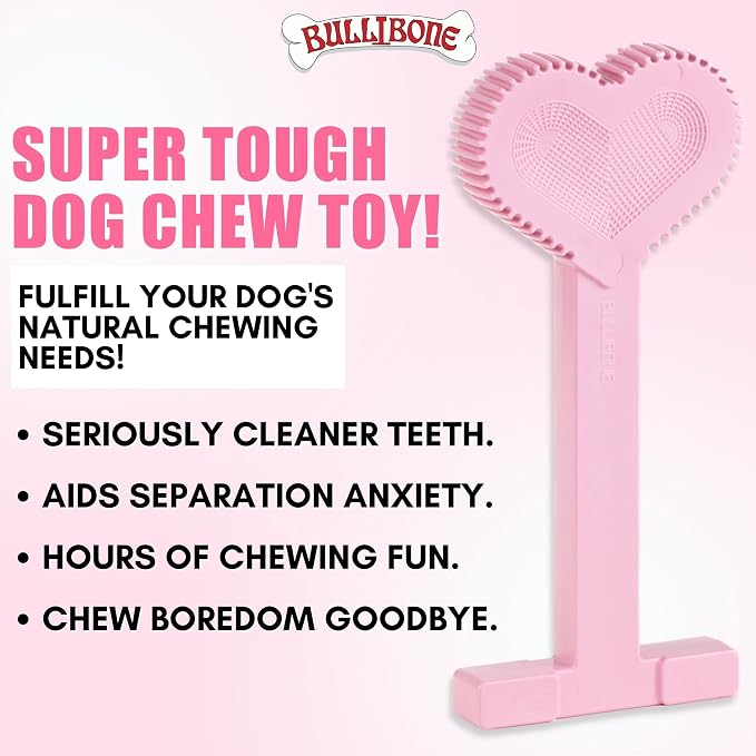 Bullibone Nylon Dog Chew Toy for Aggressive Chewers - Image 2