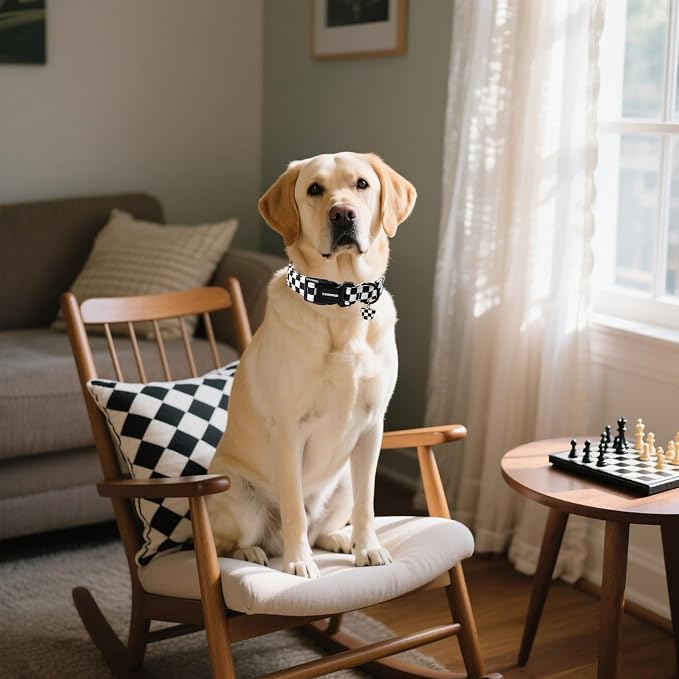 DOGWONG Checkered Dog Collar - Image 4