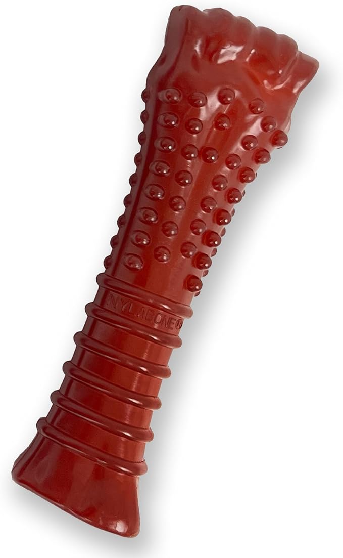 Nylabone Textured Bone Power Chew Toy by Nylabone