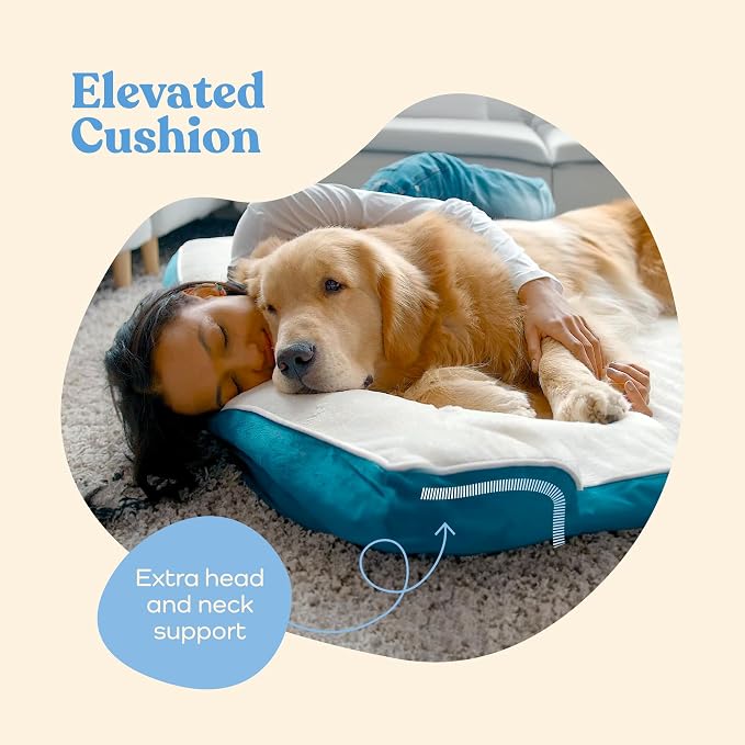 Orthopedic Sofa Dog Bed - Image 4