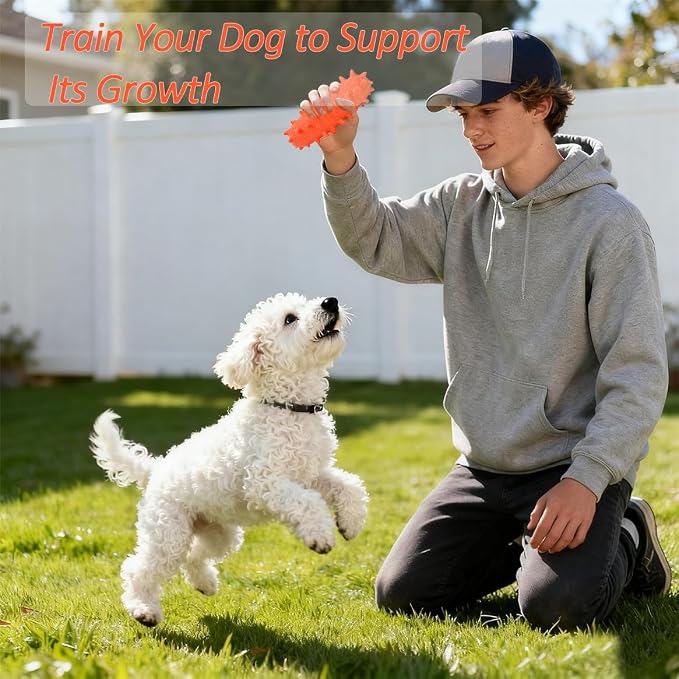 2 Pack Dog Toys for Aggressive Chewers, Tough Puppy Chew Toys Teething Bone for - Image 4