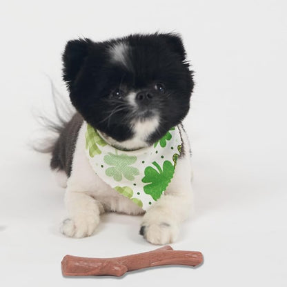 SPOT Bam-Bones Plus Branch -Bamboo Fiber & Nylon, Durable Long Lasting Dog Chew - Image 12