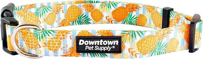 Downtown Pet Supply by DowntownPetSupply
