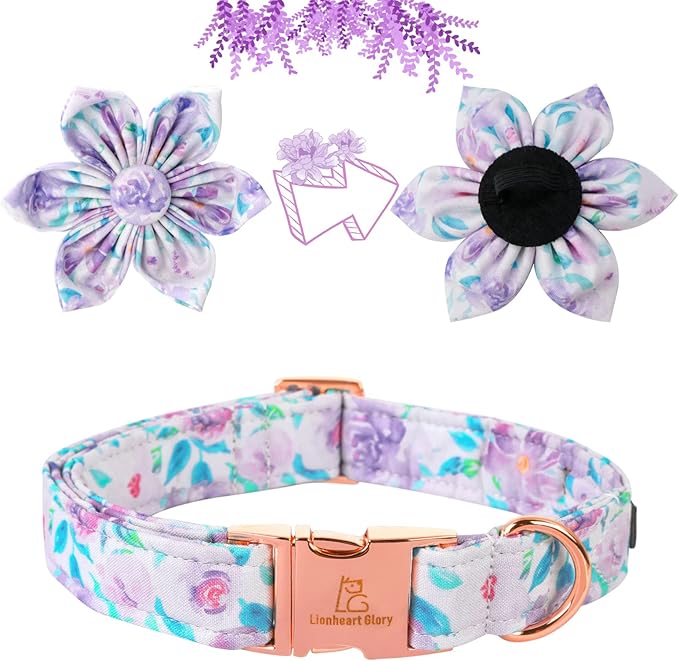 Lionheart Glory Dog Collar, Cute Floral Pattern Pet Collar Adjustable Dog Collar - Image 3