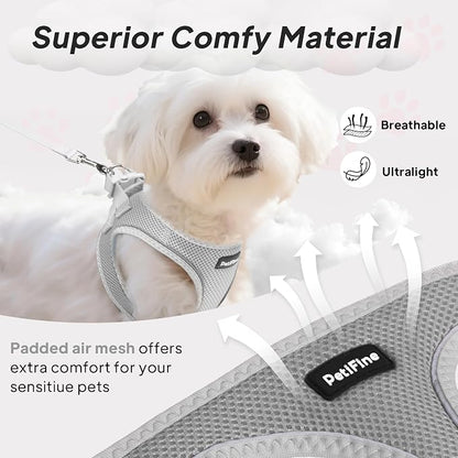 PetiFine Step in Small Dog Harness and Leash Set, Breathable All Weather Air - Image 2