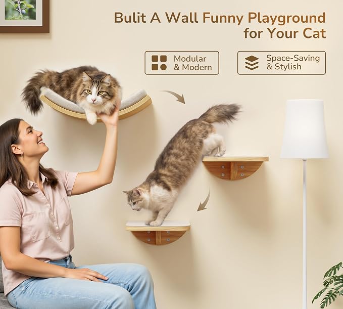 Cat Wall Shelves and Cats Window Perch – Natural Wood 4-Piece Set - Image 2