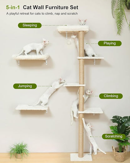 FUKUMARU Cat Wall Shelves, Stable Wall Mounted Cats Furniture Set, Kitten - Image 2