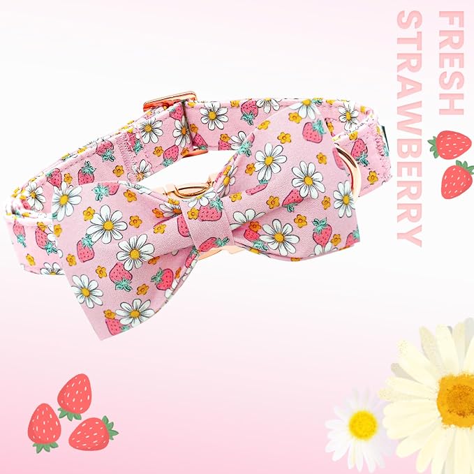 Lionheart glory Dog Collar Bow Collar Pink Dog Collar - Image 3