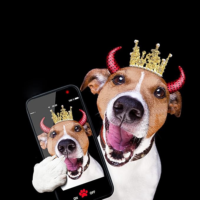 PET SHOW 2pcs Medium Dog Crown Headband Puppies Cat Hat - Image 4