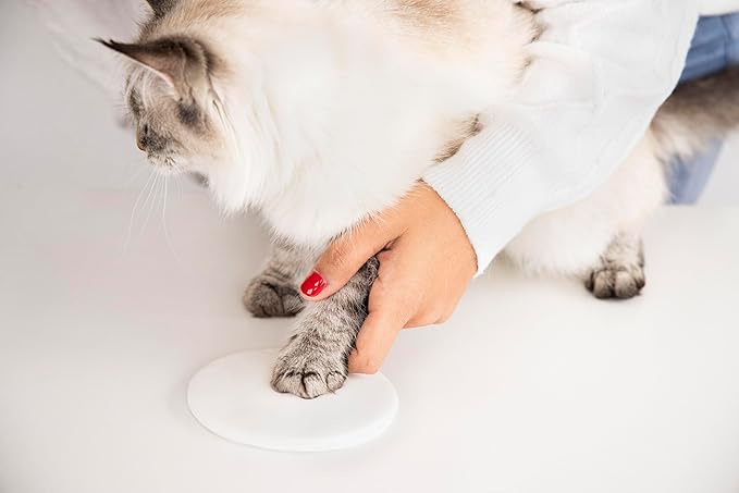 Pearhead Cat Paw Print Keepsake, Fish Shape Hanging Keepsake - Image 4